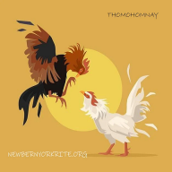 thomohomnaynewbe