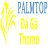 dagapalmtop